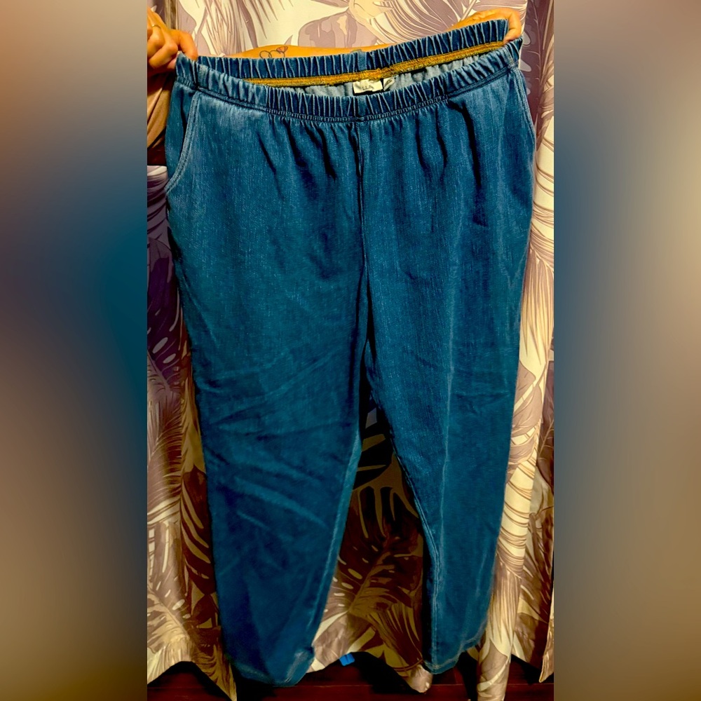 Vintage L.L. Bean jeans size1X